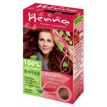 HENNA FARBA GAŠTAN 33G