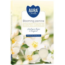 KAHANEC VONAVY JASMIN 6KS