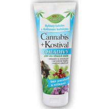 BC CANNABIS KONSKÝ KOSTIHOJ CHLADIVÝ 200 ML