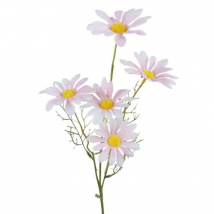 SEDMOKRÁSKA STOPKOVÁ RUŽOVÁ 52 CM