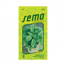 SEMO BAZALKA LETTUCE LEAF VEĽKÁ ZELENÁ