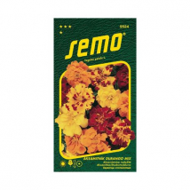 SEMO AKSAMIETNICA DURANGO MIX VEĽKOKVETÁ