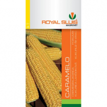 ROYAL SLUIS KUKURICA CUKROVÁ CARAMELO 100 KS