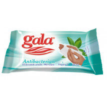GALA VLHČENÉ UTIERKY ANTIBAKTERIÁLNE 15 KS