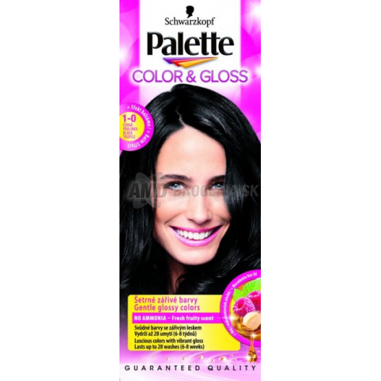 PALETTE COLOR GLOSS 1-0 ČIERNA PRALINKA