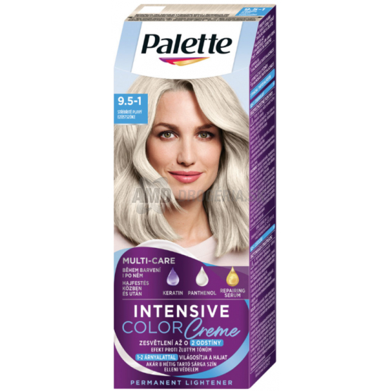 PALETTE COLOR CREM FARBA NA VLASY 9,5-1 STRIEBRISTOPLAVÝ