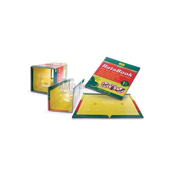 RATAMOSS BAND LEPIACA PASCA