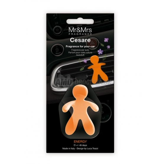CESARE MR&MRS ENERGY 45 DAY 1 KS