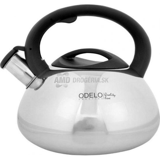 ČAJNÍK NEREZ LUCIO LESKLÝ 3L