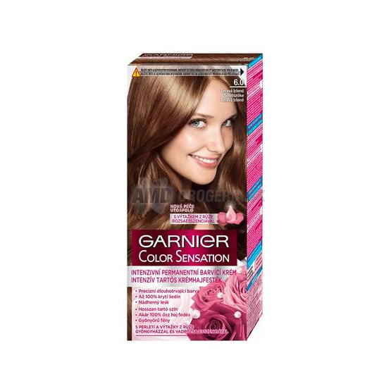 GARNIER COLOR SENSATION 6.0 TMAVÁ BLOND