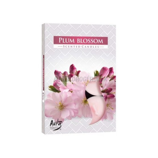 KAHANEC VOŇAVÝ KVET SLIVKY 6 KS