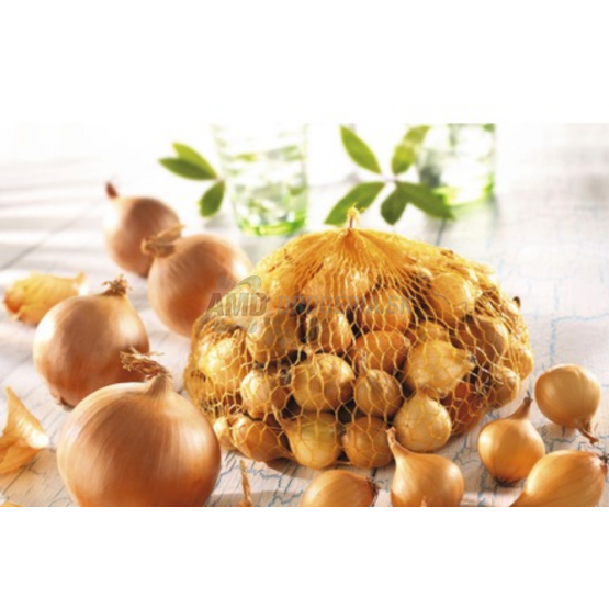 CIBUĽA SADIAČKA 250G/100KS ŠTUTGART