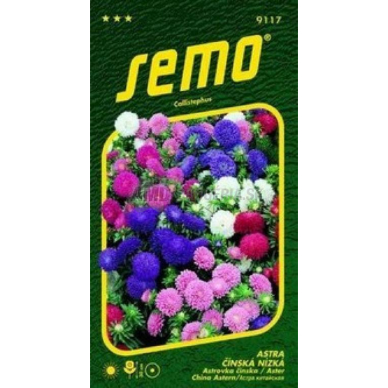 SEMO ASTRA ĆÍNSKA NÍZKA COLOUR CARPET ZMES 0,5G