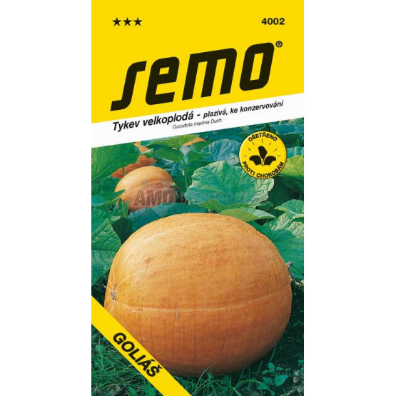 SEMO TEKVICA PLAZIVÁ GOLIÁŠ 