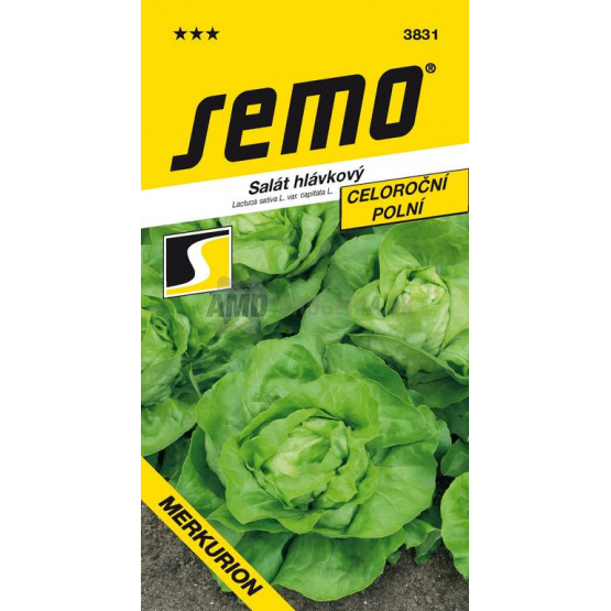 SEMO ŠALÁT HLÁVKOVÁ MERKURION 0,6G
