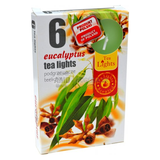 KAHANEC VOŇAVÝ EUCALIPTUS 6 KS