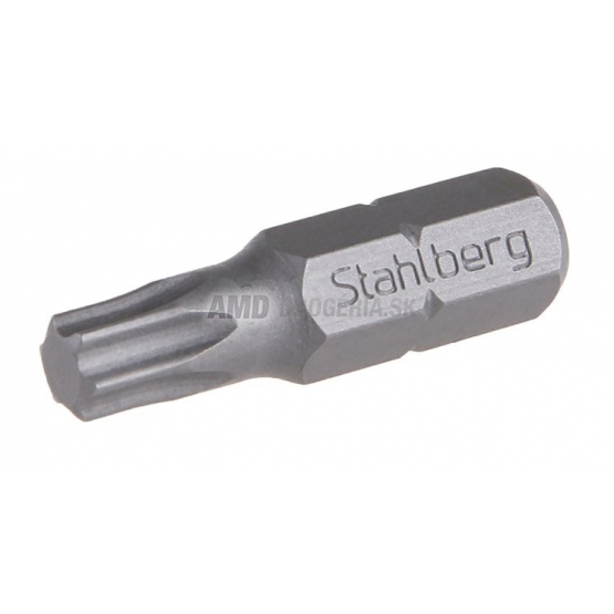 BIT T 10 25MM S2  1KS