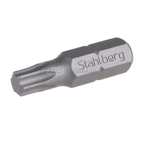 BIT T 25 25MM S2  1KS
