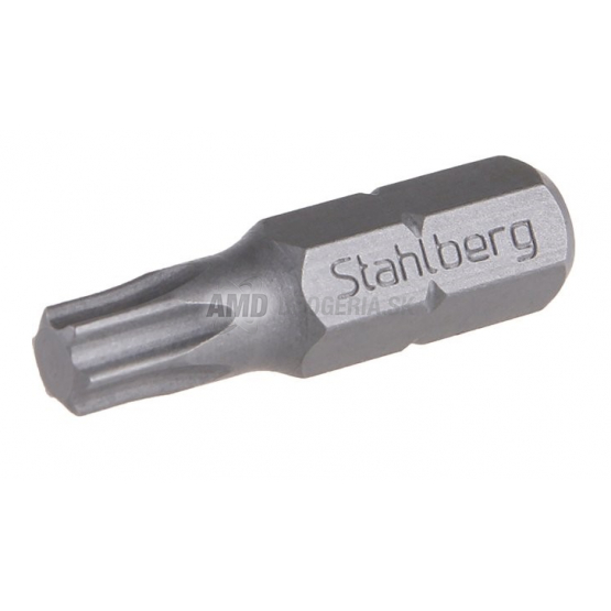BIT T 45 25MM S2  1KS