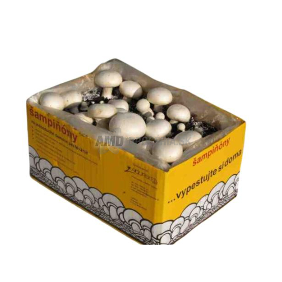 SUBSTRÁT NA PESTOVANIE ŠAMPIÓNOV NAOČKOVANÝ  96/P