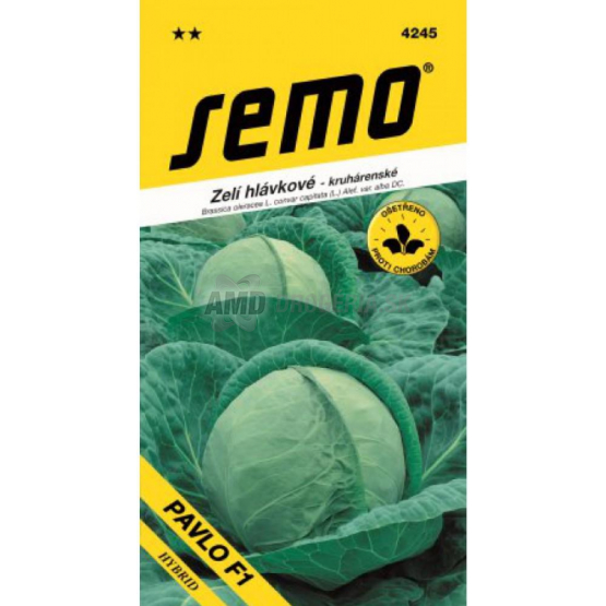SEMO KAPUSTA NESKORA PAVLO F1