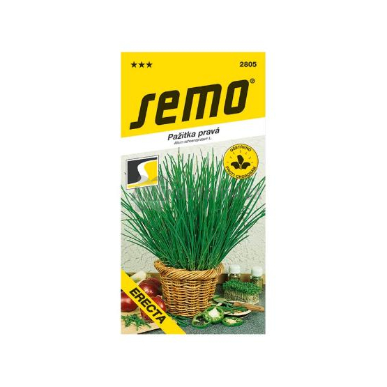 SEMO PAŽÍTKA PRAVÁ ERECTA