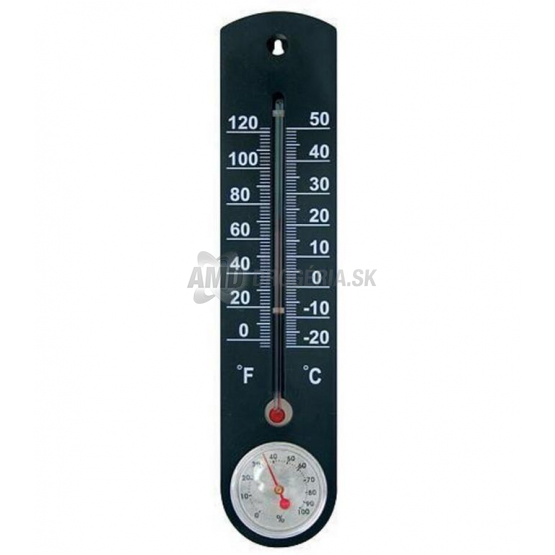 Strend Pro Vonkajší teplomer s vlhkomerom TMS-055 BlackBar, 25 cm, čierny