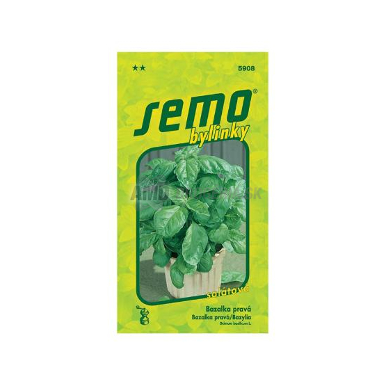 SEMO BAZALKA LETTUCE LEAF VEĽKÁ ZELENÁ