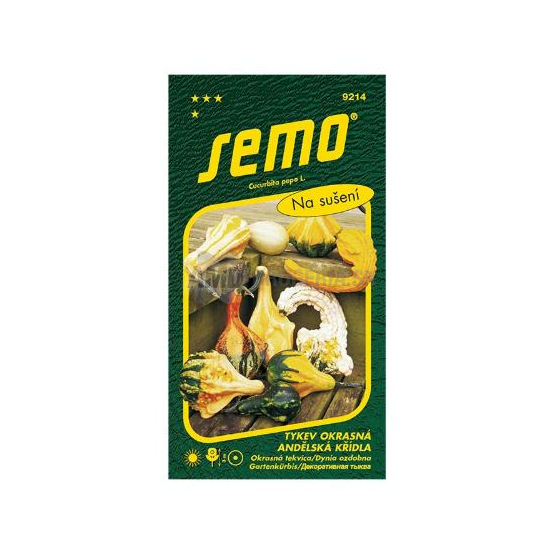 SEMO OKRASNÁ TEKVICA ANJELSKÉ KRÍDLA