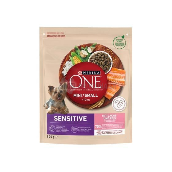 Purina ONE Mini/Small Sensitive granule pre psy s lososom a ryžou, 800 g