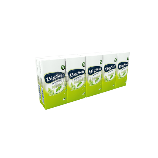 BIG SOFT HYGIENICKÉ VRECKOVKY MENTOL 10 X 10