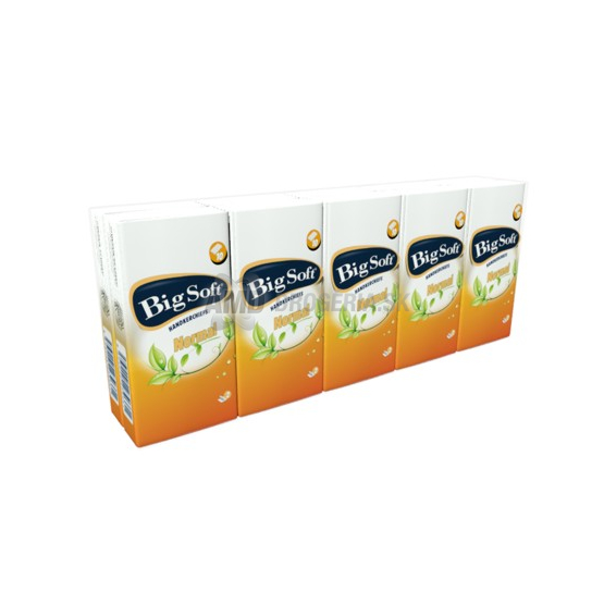 BIG SOFT HYGIENICKÉ VRECKOVKY NORMAL 10 KS