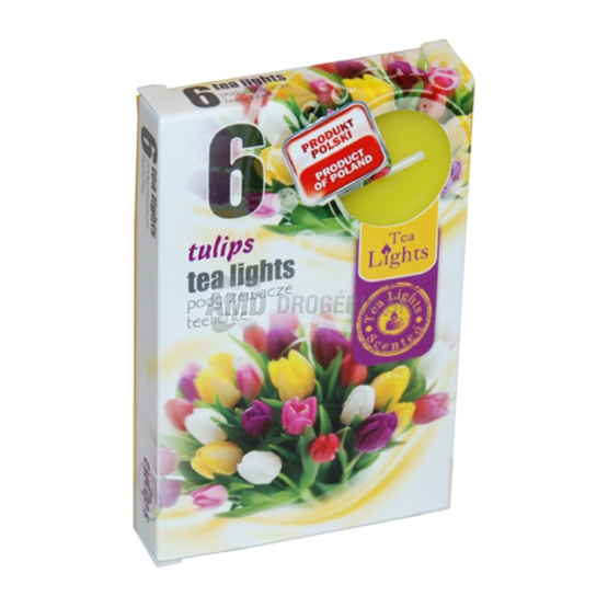 KAHANEC VOŇAVÝ TULIPÁN 6 KS