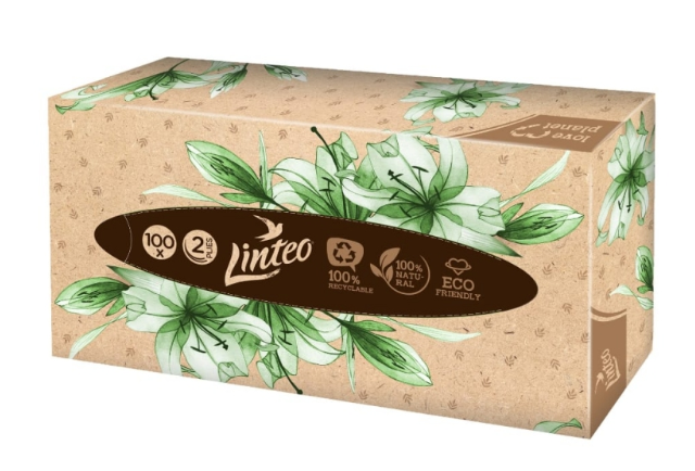 LINTEO KOZMETICKÉ UTIERKY ECO 2 VRSTVOVÉ 100 KS