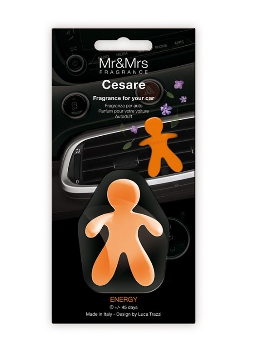 CESARE MR&MRS ENERGY 45 DAY 1 KS