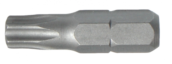 BIT T 30 25MM S2 1KS