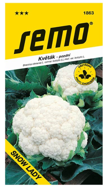 SEMO KARFIOL LETNO JESNENNÝ SNOW LADY 1 SÁČOK