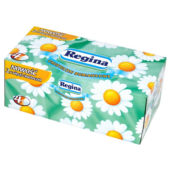 REGINA VRECKOVKY KRABIČKA 96 KS