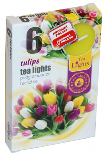 KAHANEC VOŇAVÝ TULIPÁN 6 KS